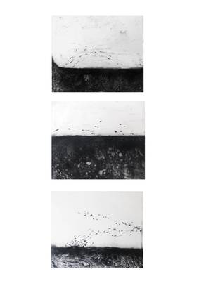 Primo classificato - Una serie di paesaggi