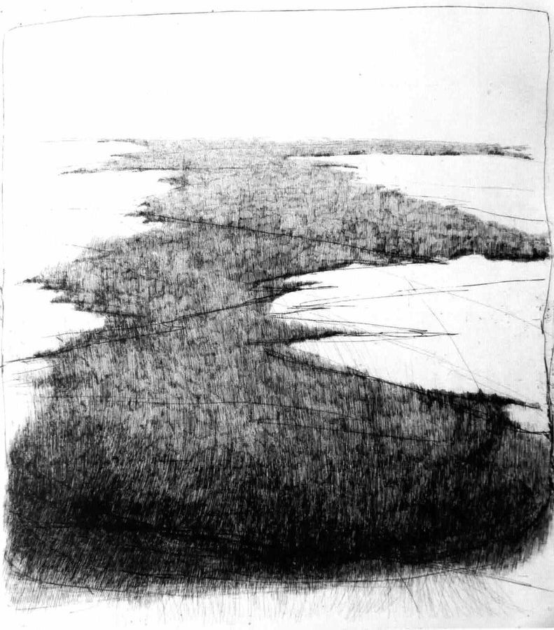 Carnello cArte ad Arte - 1a Classificata: Chiara Gasparini