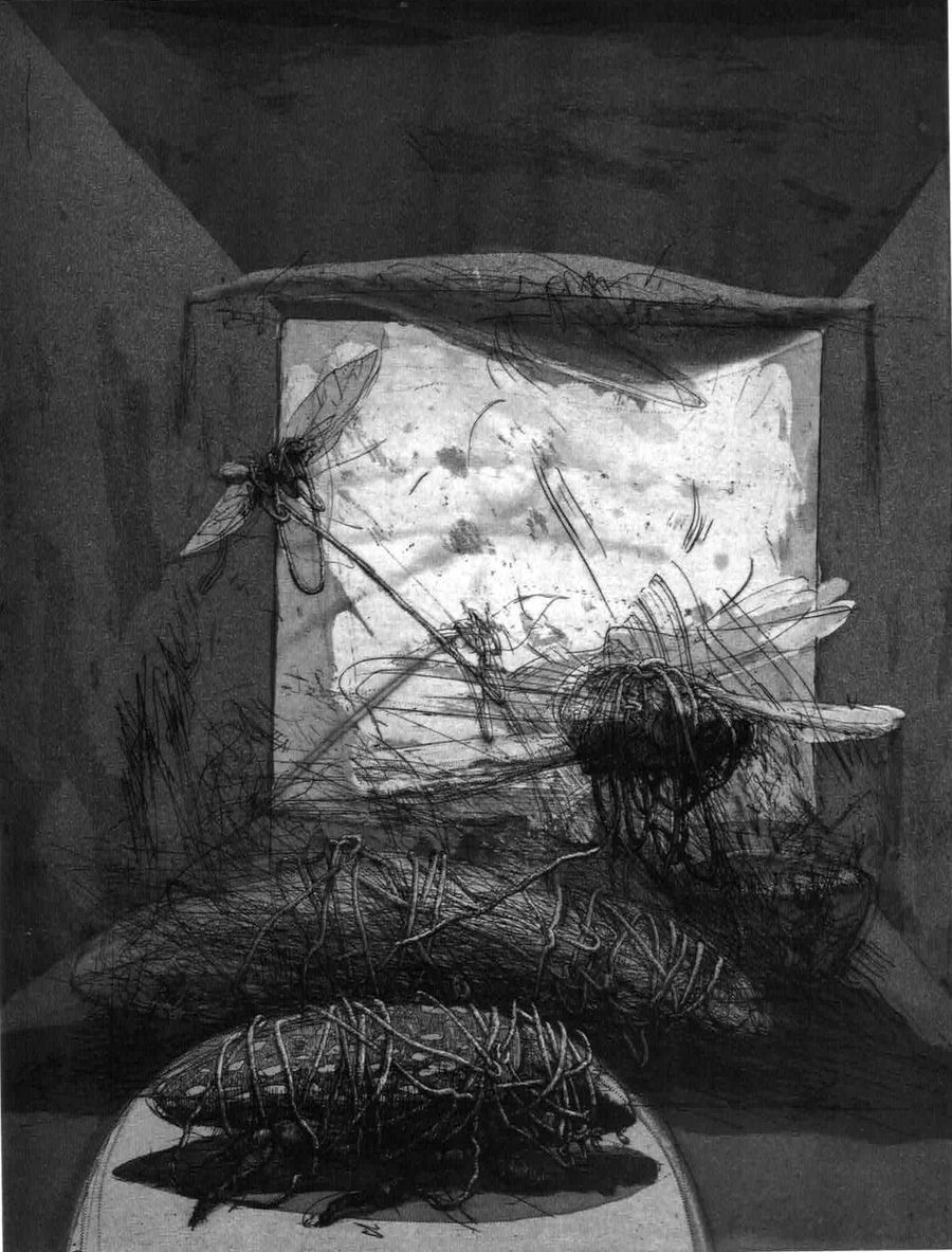 Carnello cArte ad Arte - 3a Classificata: Agim Sako