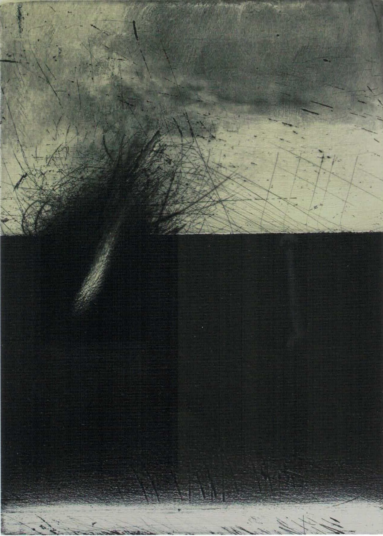 2a Opera classificata, di Ferdinando Andreozzi