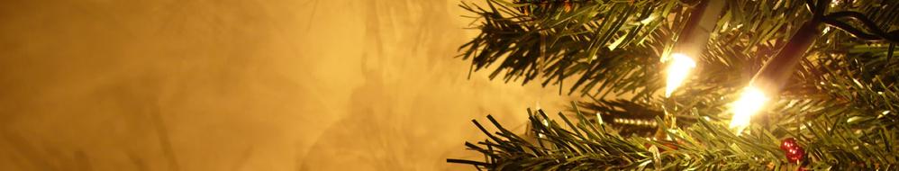 Vinaora Nivo Slider 3.x